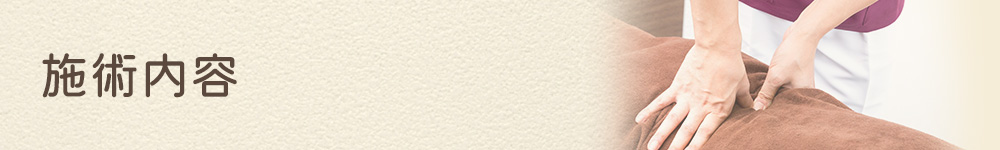 施術内容