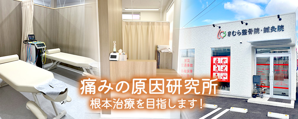 痛みの原因研究所　～根本治療を目指します！～　